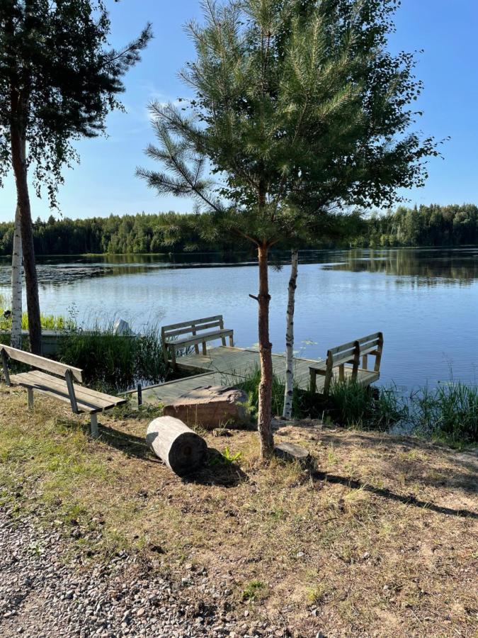 Trevlig Stuga Med Endast 300 M Till Dalaelven. Villa Rudo Buitenkant foto